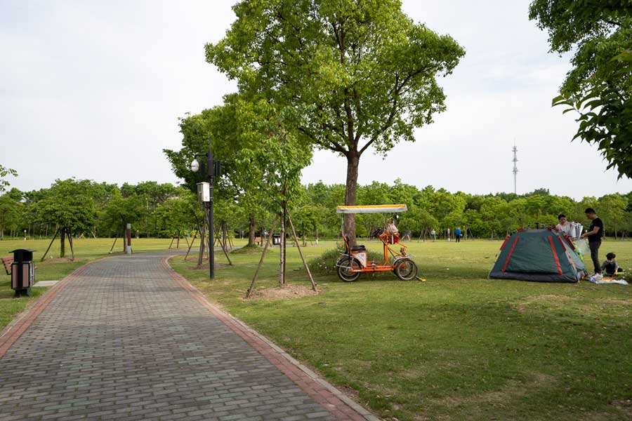 Lawns - Scenery (14) - Gucun Park 顾村公园.jpg
