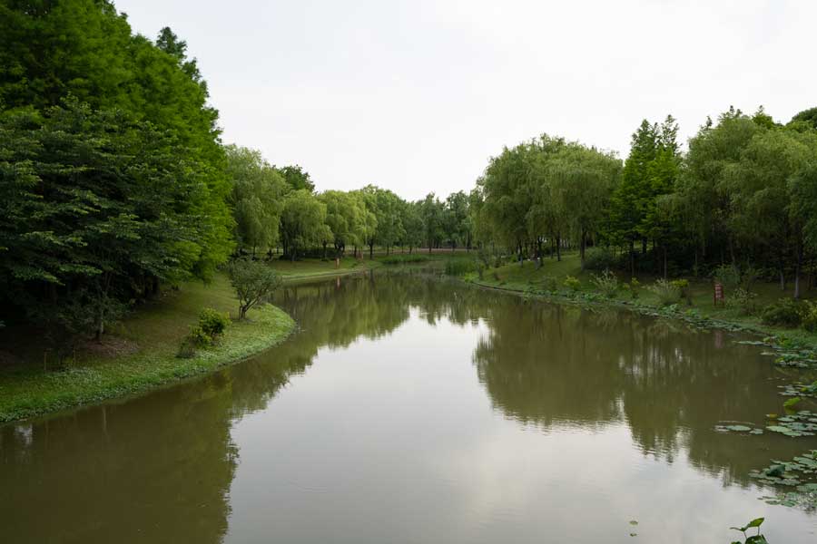Creek and trees - Scenery (13) - Gucun Park 顾村公园.jpg