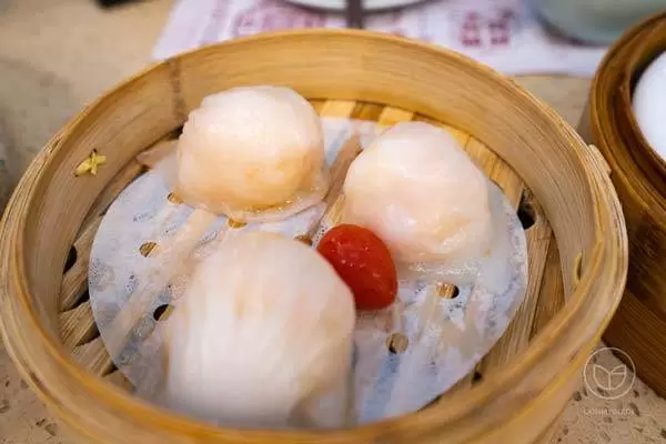 Dian Dou De (Qibao)