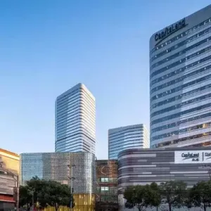 Raffles City Changning