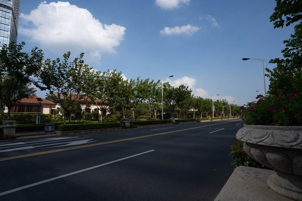 Hongfeng Road in Jinqiao.jpg