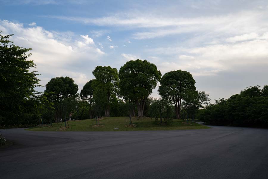 Scenery (44) - Gucun Park 顾村公园.jpg