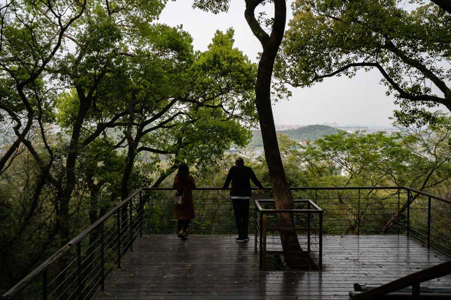 Observation Platform for overlook - Sights inside the park (7) - East Shesha Park.jpg