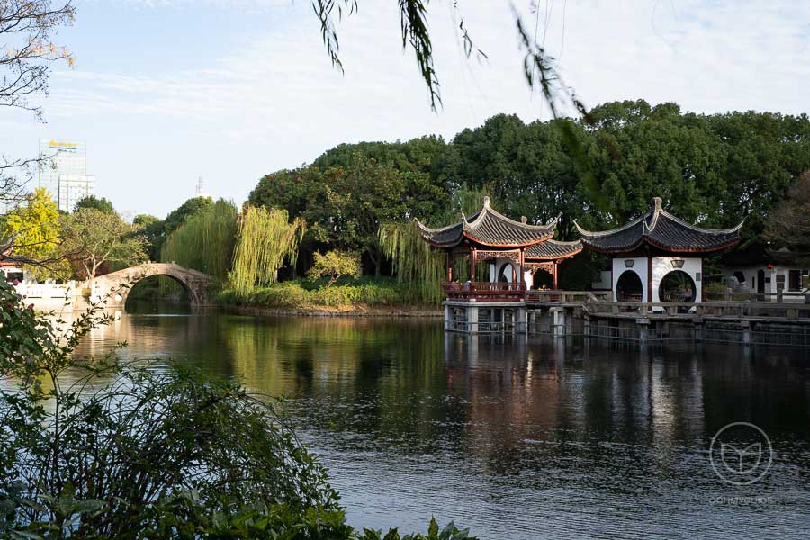 Scenery (20) - Guhua Garden - Shanghai Tourist Destinations - OOHMYGUIDE.jpg
