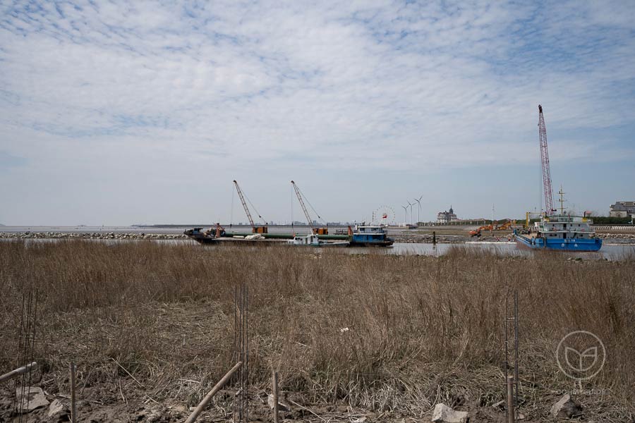 Fengxian seaside (2).jpg